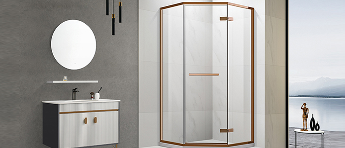 Glass Shower Door