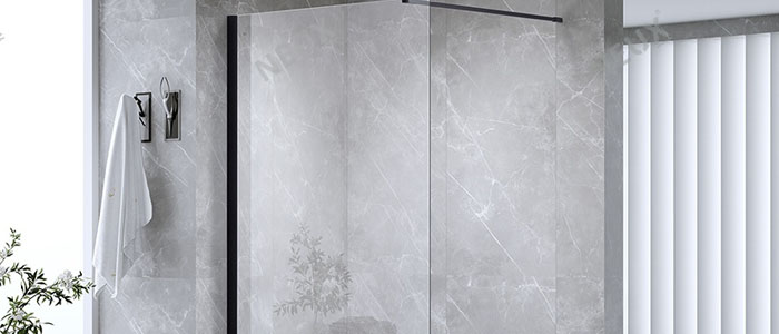 Glass Shower Door